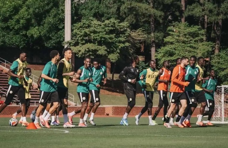 Entrainement des Lions
