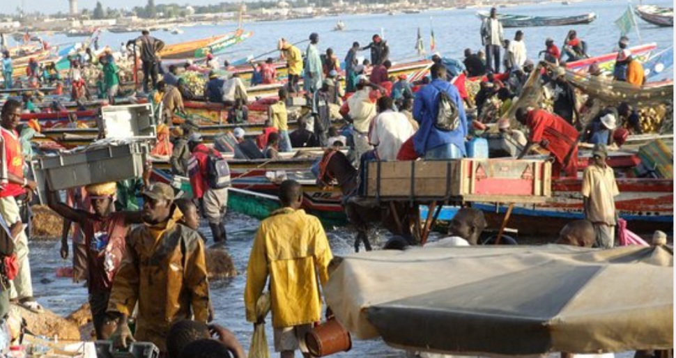 Screenshot_20230409_013322_Chrome