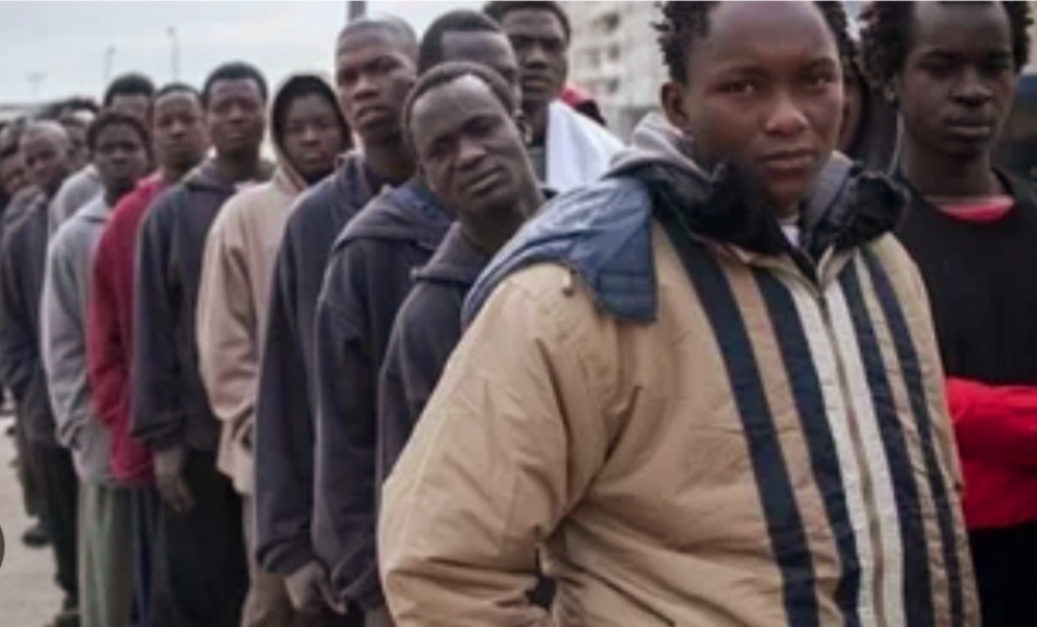 Screenshot_20230901_145438_Google