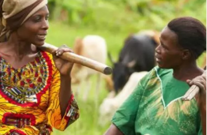 Screenshot_20231001_205453_Chrome