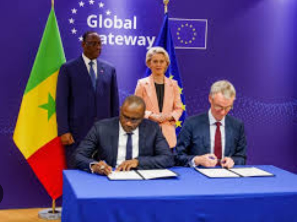 Screenshot_20231026_095008_Google