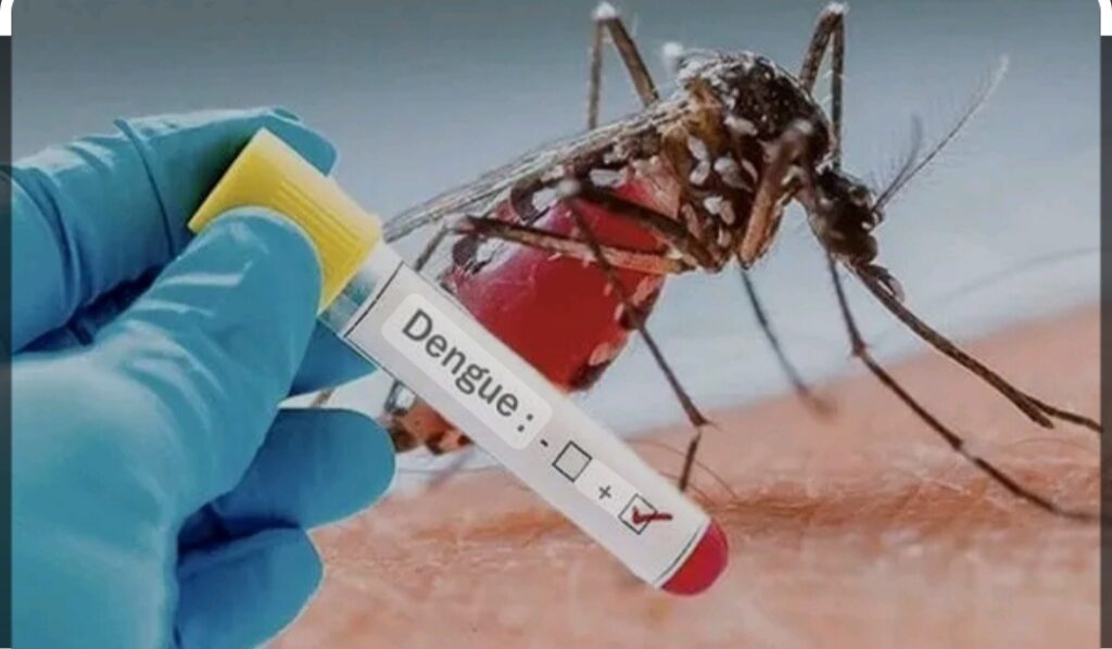 Screenshot_20231127_222856_Google