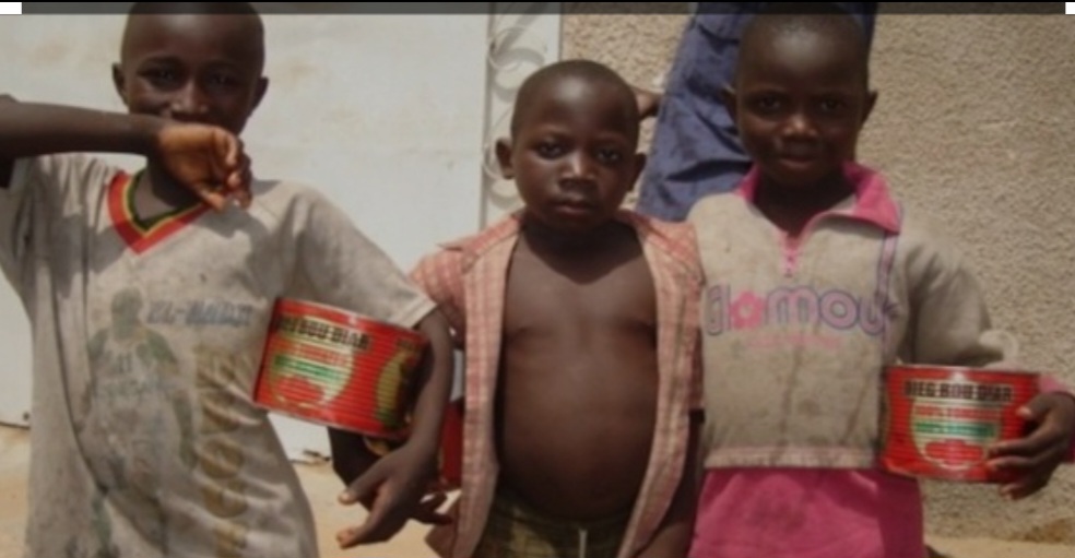 Screenshot_20231216_210448_Google