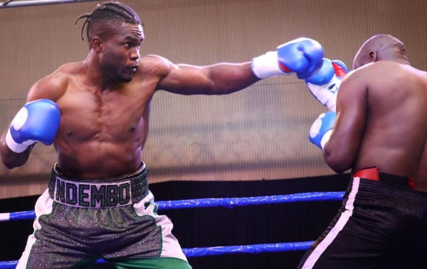 congolais-Ardi-Ndembo