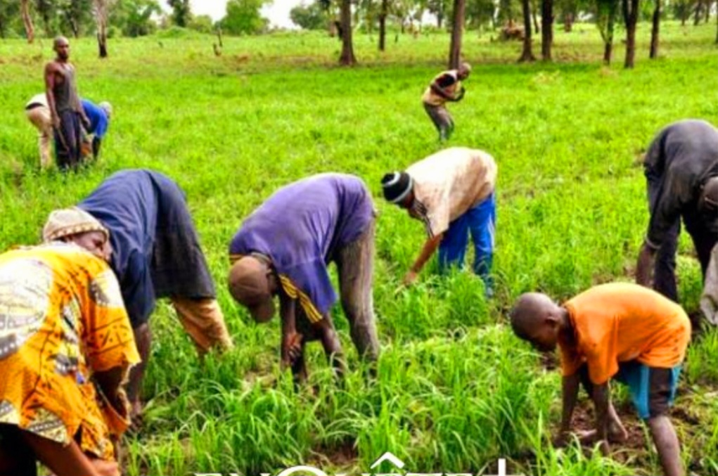 Screenshot_20240503_234330_Chrome