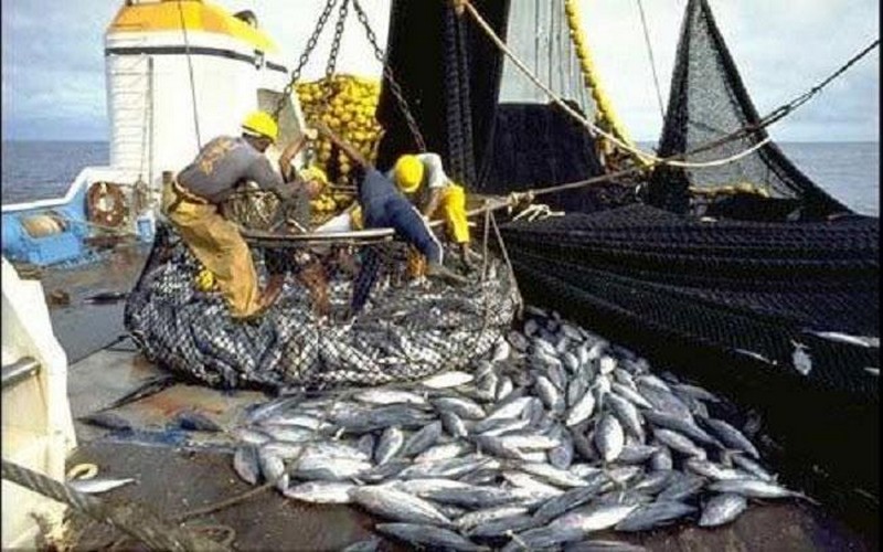 Peche-illicite-LUnion-europeenne-met-en-garde-le-Senegal-avec-un-avertissement-formel