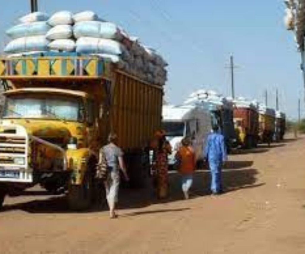 IMG-20240728-WA0326(1)