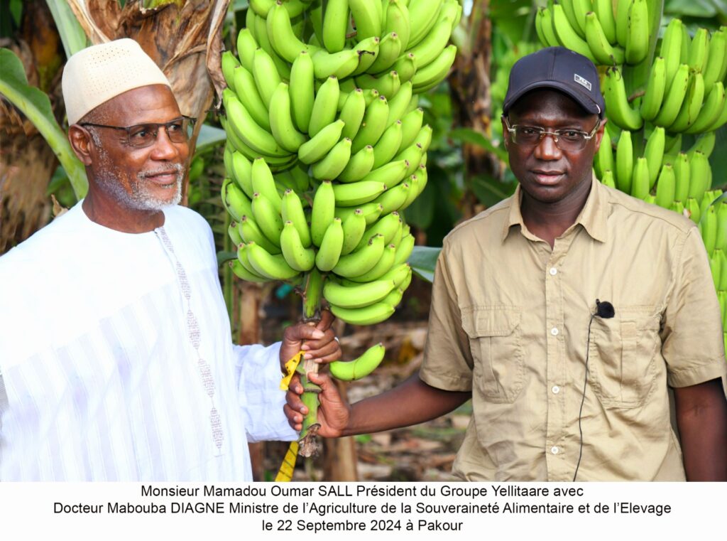 IMG-20240927-WA0343 (5)