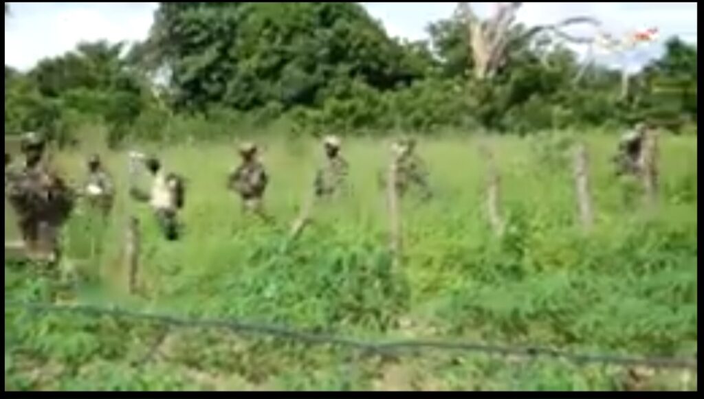 Screenshot_20241012_221226_WhatsApp