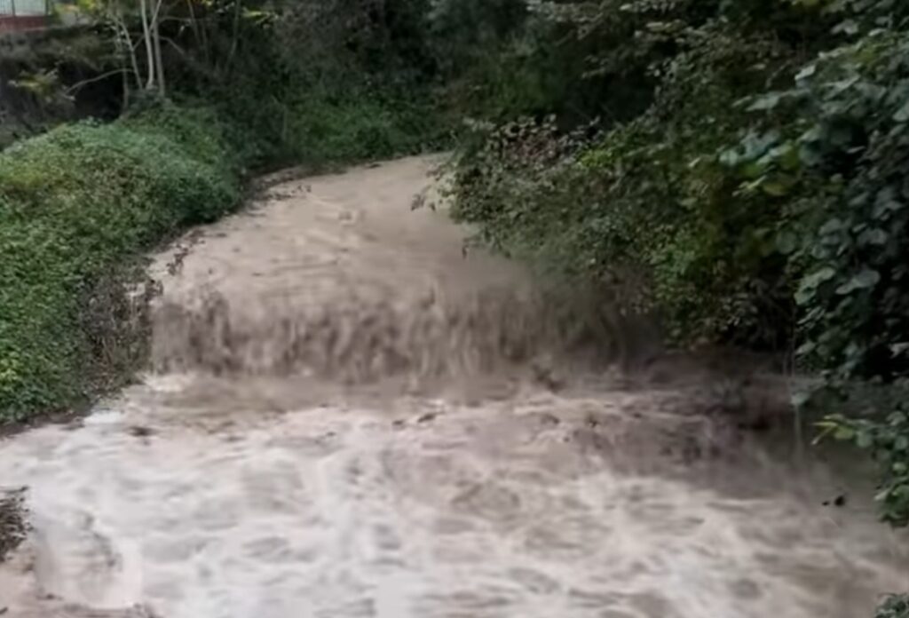 Screenshot_20241020_134043_Facebook