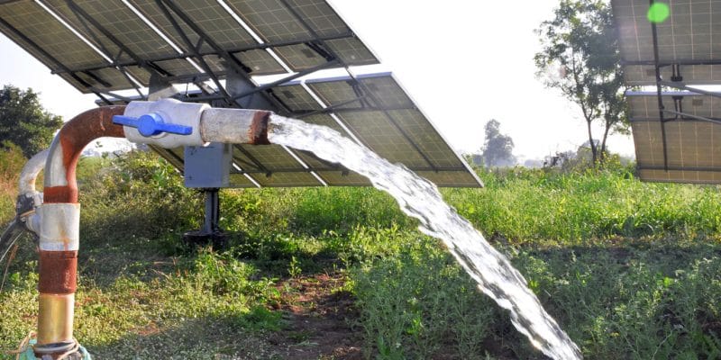 shutterstock_1611367960-800x400