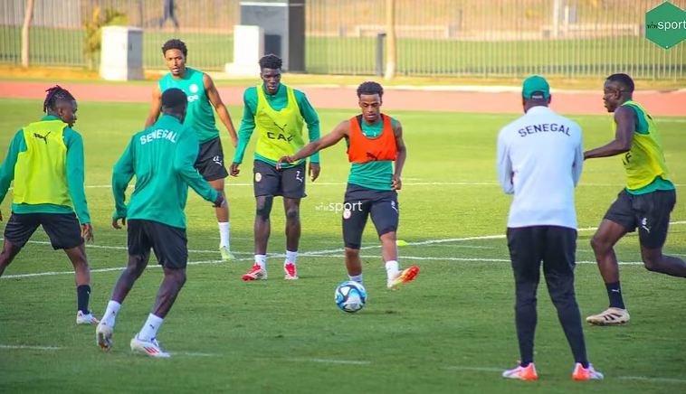 Entrainement des Lions
