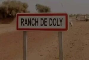 IMG-20250709-WA0387(1)