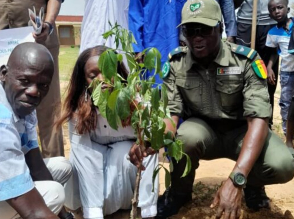 Screenshot_20250901_175545_Samsung Internet