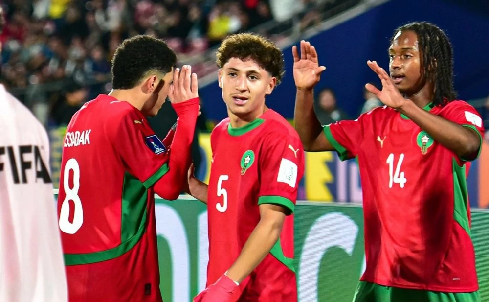 Lionceaux de l'Atlas