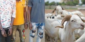 SÉCURITÉ A TOUBA SAM FALL