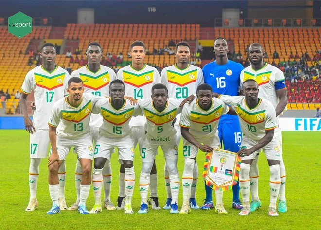 LIONS DU SENEGAL