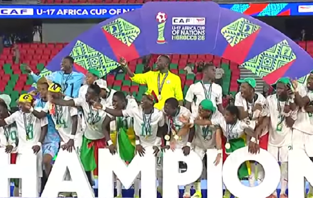 Lionceaux Champions d'Afrique 2026