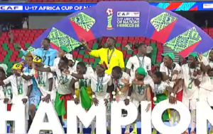 Lionceaux Champions d'Afrique 2026