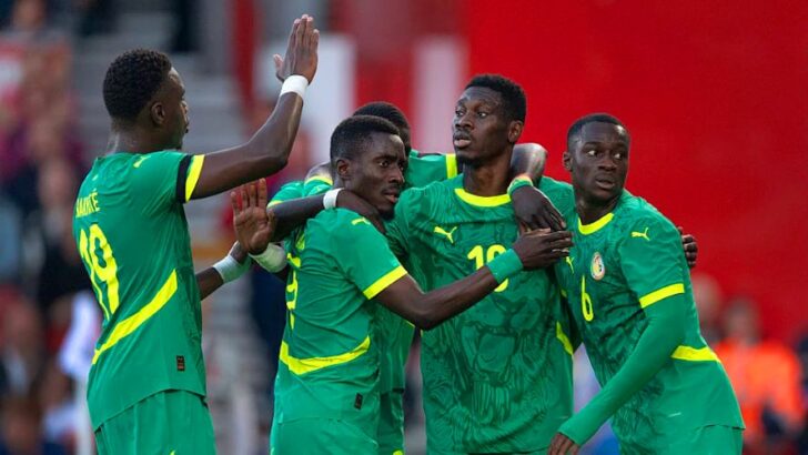 Lions du Sénégal